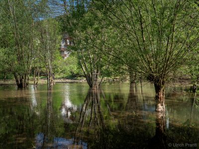 Heigenbrücken: Der Biber hat den Kurpark unter Wasser gesetzt